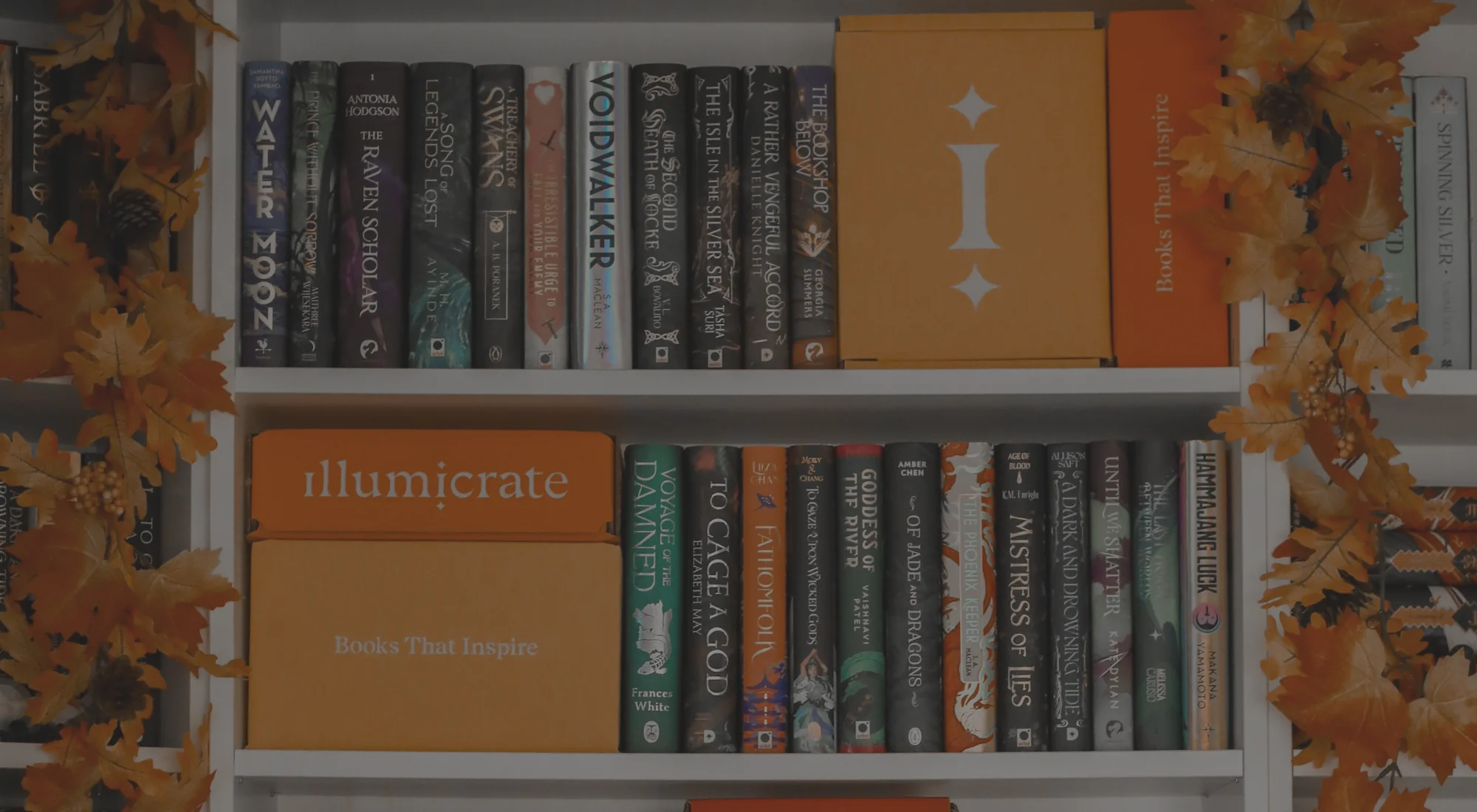 Welcome to Our Store